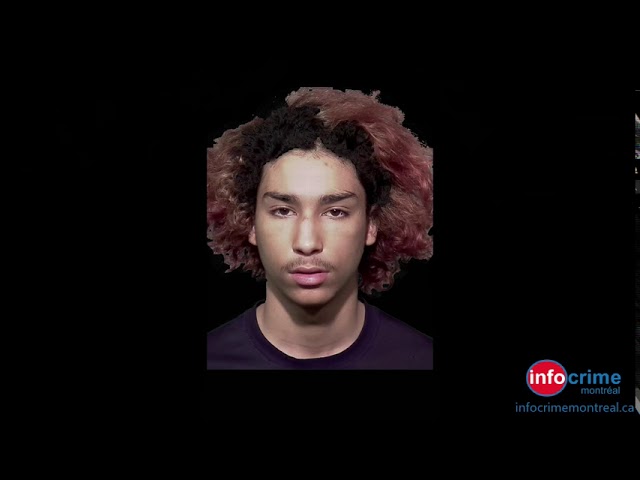 Capsule Info Crime sept 2020 Francais