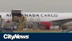 Montreal gold discovery prompts questions about Pearson heist