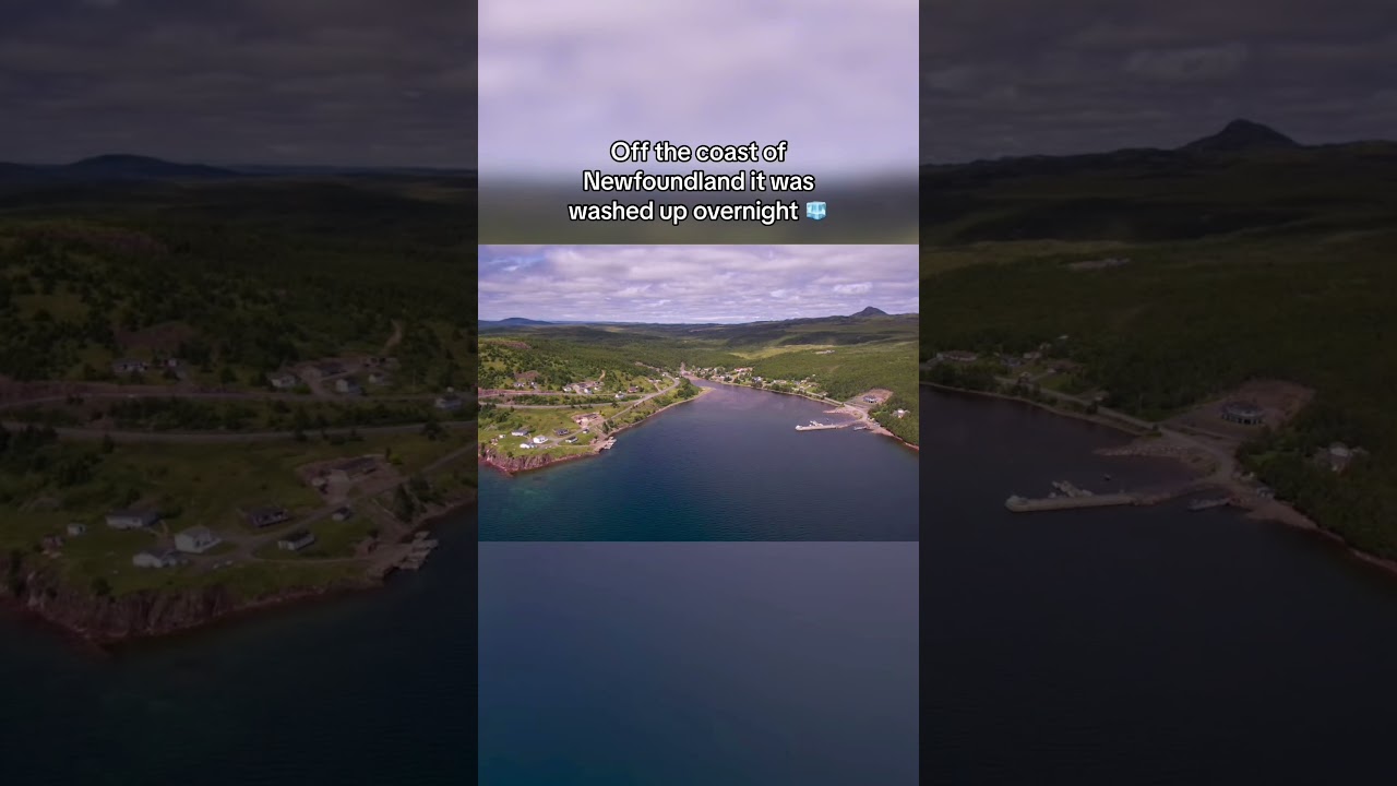 🤔 #interesting #canada