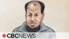 1st-degree murder charge for Ottawa park stabbing