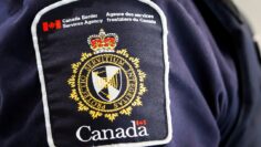 598 stolen vehicles seized at the Port of Montreal | Heres what we know