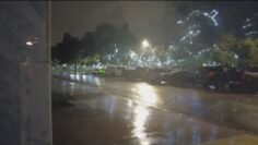 Hurricane Helene: Emergencies declared in 4 states