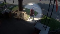 New surveillance video captures Ontario serial killer moments after alleged stabbing