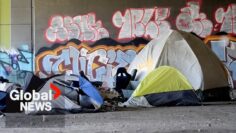 Opioid crisis: 2 Indigenous people die from possible overdose in Montreal