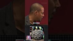 The Flower of Life – A 6,000-Year-Old Mystery 💯💬🧠😱 #viral #shorts #reels