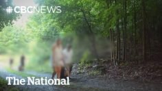 Why it’s challenging to police Canada’s border