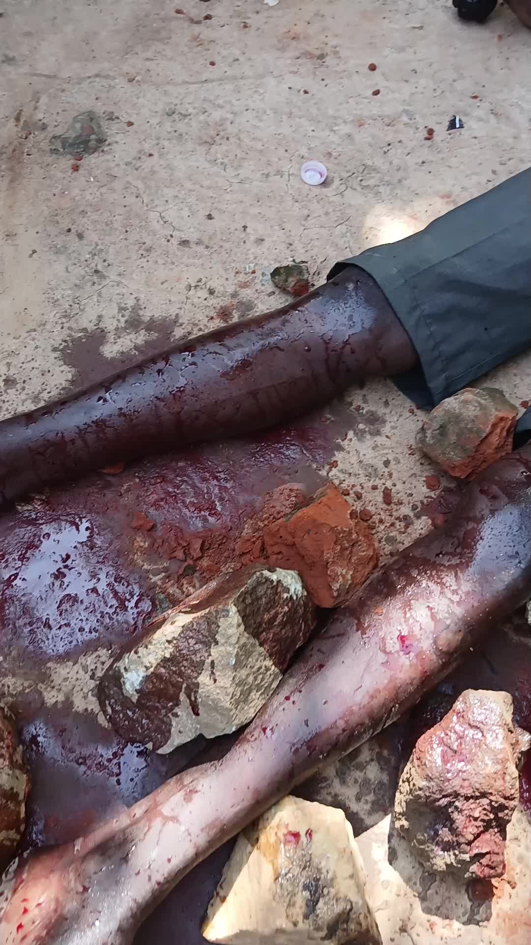 Why Jay-Z Really Hates Drake – Toronto rapper – hip hop news – WESHH