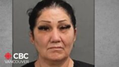 Serial fake nurse pleads guilty to criminal charges in B.C.