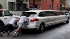 Best Expensive Fails | Funny Mistakes 🤣