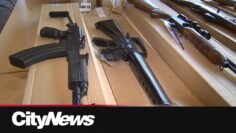 Ottawa bans another 179 types of firearms