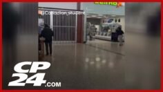Viewer video: Smash-and-grab at North York cell phone store
