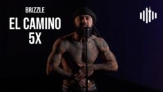 Brizzle – El Camino/5X | Turn Up Toronto Performance