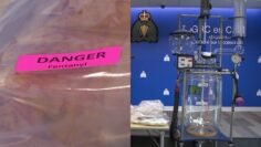 RCMP arrests chemist in multiple drug lab bust