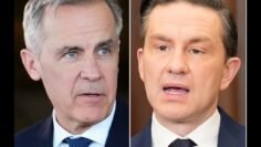 WATCH: Live federal election results