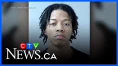 Police release suspect identities in Toronto double-homicide