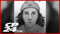 Suspect sketch released in assault of elderly woman in Ajax