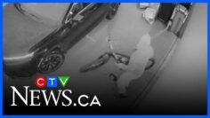 Thieves target garage doors down from their short-term rental