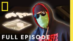 Vancouver Drug Empire (Full Episode) | Drugs, Inc: The Fix | National Geographic