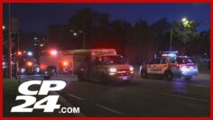 Woman killed in hit-and-run in Scarborough