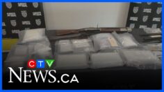 2-year probe results in massive drug bust, arrests