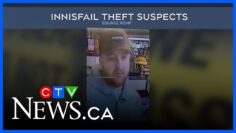 Erratic driving leads to big cigarette bust | CTV News Red Deer News: June 17