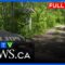 Manitoba RCMP investigating ‘targeted’ double homicide | CTV News Winnipeg at Six for June 20, 2025