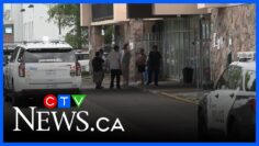 Police investigating fatal stabbing at Toronto shelter