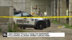 Police pursuit ends with alleged suspect jumping off expressway