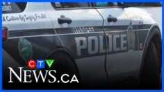 Violent offender unit making arrests daily in Manitoba