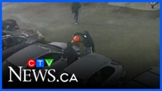 2 arrests made in extortion investigation