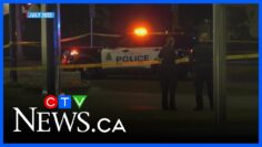 7-year prison sentence for man who killed Edmonton father