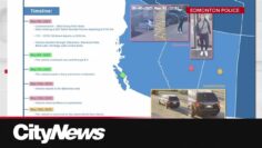 Edmonton police leading multi-provincial search for woman who went missing two months ago