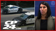 Hamilton police provide update on homicide investigation in Dundas, Ont.