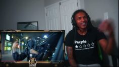 NORTHSIDE05 – CAMPING | REACTION