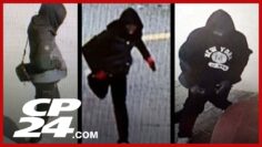 Police release images of suspect in deadly stabbing of a 71-year-old woman in North York