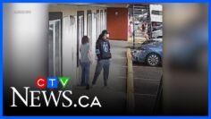 Wanted man and missing son found