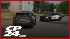 One person shot inside Scarborough apartment building, police searching for suspect