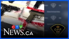 Thunder Bay drug bust nets imitation firearms, cocaine, more