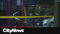 Two 19-year-olds sent to hospital after North York shooting