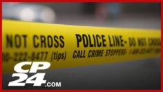 Boy arrested in spree of violent assaults raises concerns over youth violence in Toronto