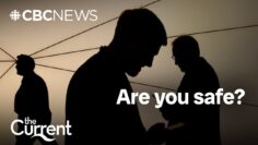 How China’s recent cyberattack could affect you online | The Current