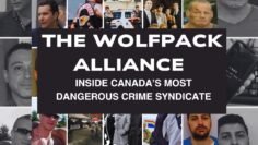 Inside Canada’s Most Dangerous Crime Syndicate: The Wolfpack Alliance