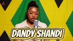 Kelly KK – Dandy Shandi | Tia Told Me (Official Performance Video)