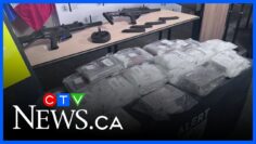 Record cocaine seizure made