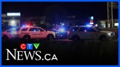 Three robbery suspects arrested on Hwy. 401 near Pickering, Ont.