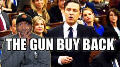 Will The Gun Buy Back Program Work?