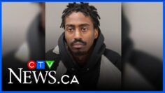 Armed Ont. man linked to months-long human trafficking investigation arrested