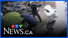 Businessman attacked with baseball bats