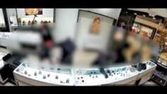 CAUGHT ON CAMERA: Smash and grab jewelry thieves caught by cops