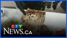 Celebrating National Shawarma Day